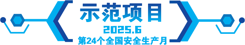 示范项目