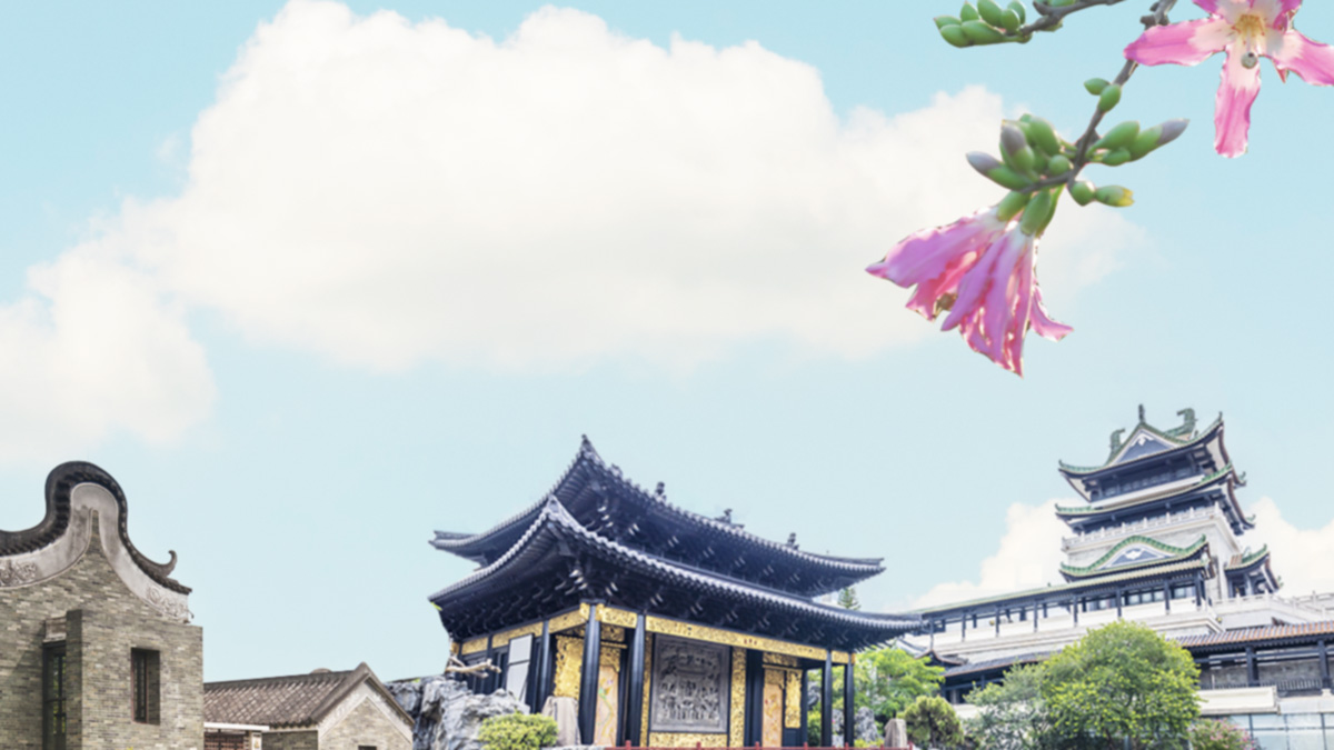 广东茂名让老旧小区居民“电梯梦”照进现实